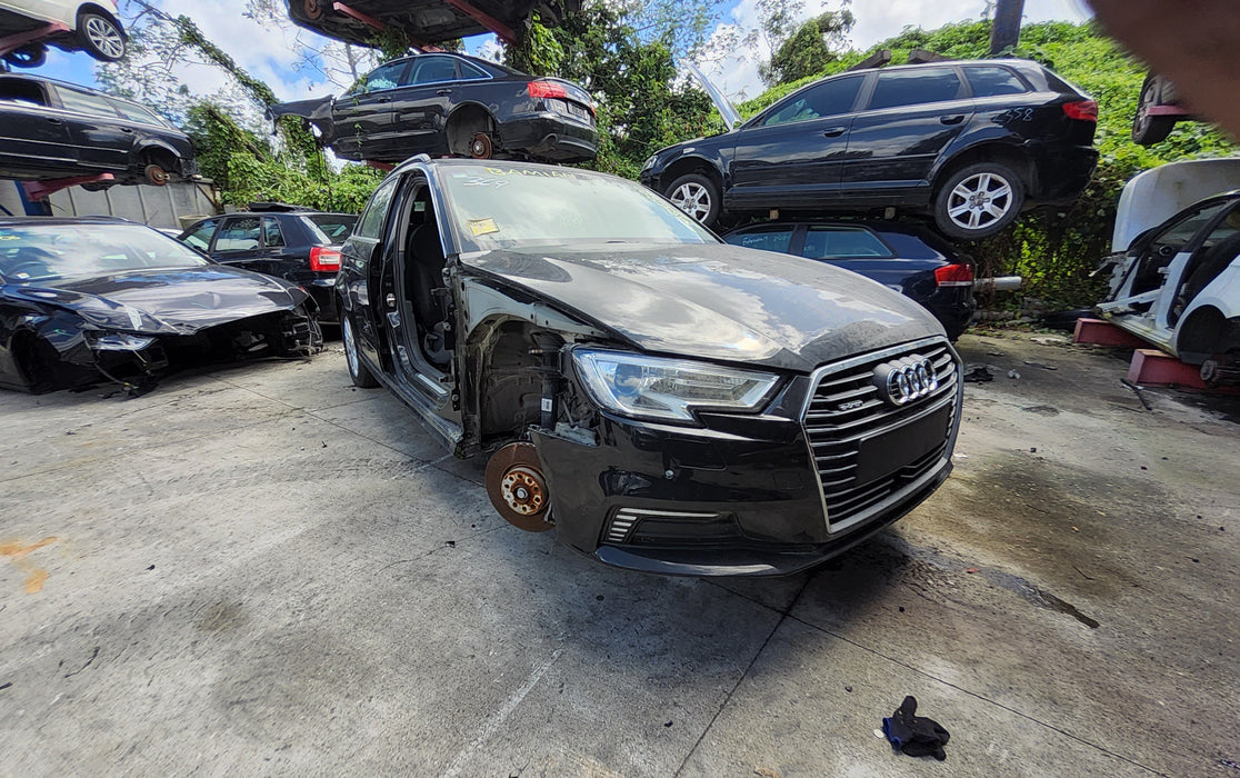 2019, Audi, A3, WAUZZZ8V5KA101398