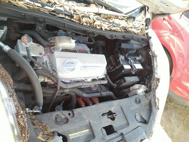 2011, Nissan, Leaf, ZE0-000978